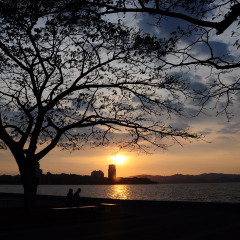 景点模块 