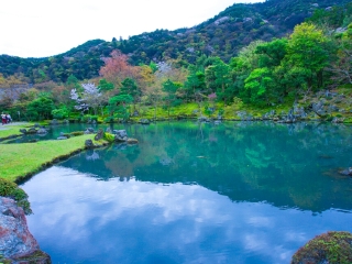 日本十一日游价格_旅游公司日本_日本旅游双飞价格