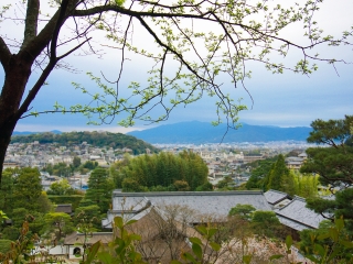 日本最佳旅游路線_日本旅游團(tuán)報(bào)價(jià)2021_去日本旅游要多少錢(qián)