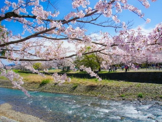 日本大阪旅行團(tuán)旅游報(bào)價(jià)_日本大阪旅游大概多少錢(qián)_日本大阪旅游組團(tuán)