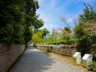 日本大阪旅游價(jià)格多少_怎么去日本大阪旅游_日本大阪自由游價(jià)格多少