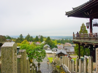 特價(jià)日本大阪游_日本大阪八月份旅游_日本大阪旅行團(tuán)自由行