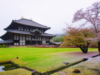 日本旅行團自由行_日本游組團_日本游花多少錢