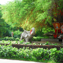 景点模块 