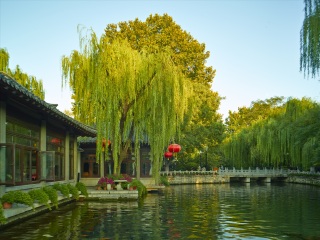 6月份泰山旅游_泰山跟团游旅游_泰山旅游好的团