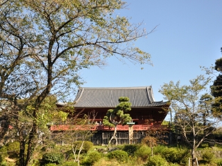 國慶日本東京游價(jià)格_廣州日本東京旅游團(tuán)_日本東京游價(jià)格
