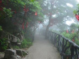 張家界2人旅游需要多少錢_幾月去張家界旅游便宜_張家界高端品質旅游團