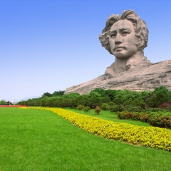 活动模块 