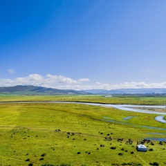 景点模块 