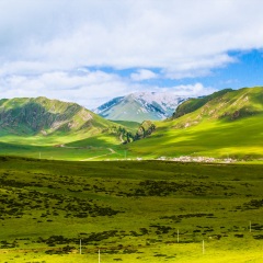 景点模块 