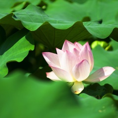 景点模块 