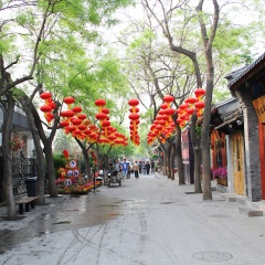 活动模块 