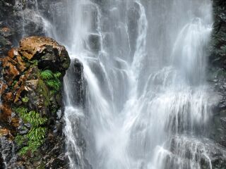 現(xiàn)在到江西廬山旅游多少錢_旅行團江西廬山游_去江西廬山旅游怎么走