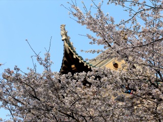 去湖北旅游_到湖北旅游多少錢(qián)_湖北旅游報(bào)團(tuán)價(jià)格