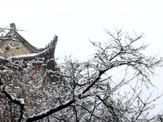 深圳去武汉旅游团报价_武汉旅行团报价_武汉跟团旅游社