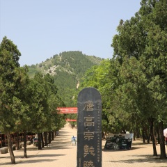 景点模块 