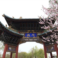 景点模块 