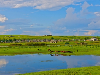 呼倫貝爾旅游跟團(tuán)多少錢(qián)_呼倫貝爾游 旅行團(tuán)_呼倫貝爾私人定制旅游