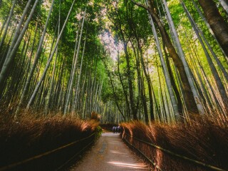 日本大阪旅游價(jià)格多少_怎么去日本大阪旅游_日本大阪自由游價(jià)格多少