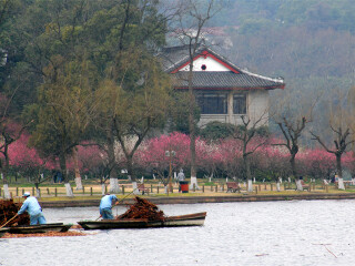上海迪士尼旅游包團(tuán)價(jià)格_7月赴上海迪士尼旅游_游上海迪士尼跟團(tuán)