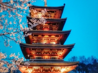 中旅武汉旅游_武汉著名旅游_旅行武汉