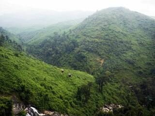 越南下龍灣半自由行_越南下龍灣旅行團(tuán)_越南下龍灣旅游跟團(tuán)需多少錢