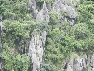 越南雙人七日游_越南四日游 去哪_越南旅游跟團多少錢