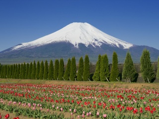 日本大阪旅游要多少錢2021_東莞到日本大阪游_組團去日本大阪