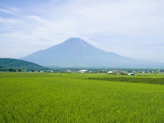 日本旅游本_双飞日本十日游多少钱_赴日本旅游价格