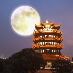 黄鹤楼 景点模块