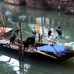 景点模块 