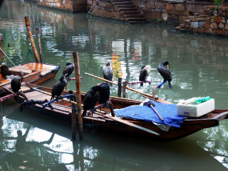 云南香格里拉跟團(tuán)游與自由行_云南香格里拉游特價(jià)團(tuán)_2021去云南香格里拉跟團(tuán)多少錢