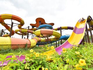 赴西双版纳旅游_去西双版纳报团多少钱_西双版纳旅行哪家好