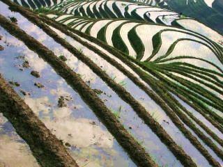 桂林旅游三日游价格_去桂林旅游要带多少钱_桂林旅行团旅游