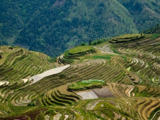 桂林漓江最適合旅游的季節(jié)_到桂林漓江旅游多少錢_桂林漓江八月份旅游