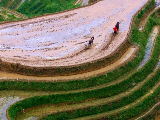 桂林漓江最適合旅游的季節(jié)_到桂林漓江旅游多少錢_桂林漓江八月份旅游