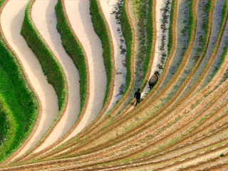 桂林漓江最適合旅游的季節(jié)_到桂林漓江旅游多少錢_桂林漓江八月份旅游