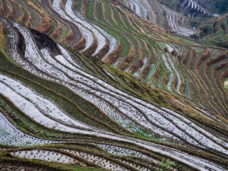 桂林旅游三日游价格_去桂林旅游要带多少钱_桂林旅行团旅游
