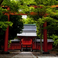 景点模块 