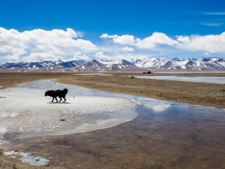 西藏旅游要多少錢2021_西藏游組團_西藏自由行旅游團