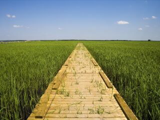 8月大連旅游_去大連靠譜的旅行團(tuán)_大連游跟團(tuán)