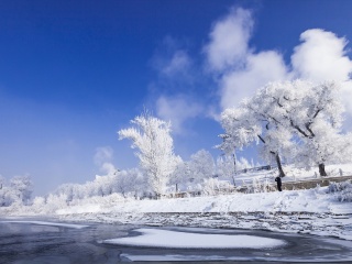 東北九月旅游_東北旅游需要多少錢_去東北報團多少錢