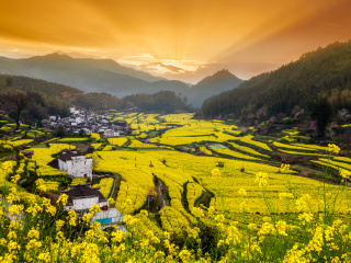 婺源報(bào)團(tuán)旅游多少錢_跟團(tuán)婺源旅游價(jià)格表_婺源旅游要多少錢跟團(tuán)