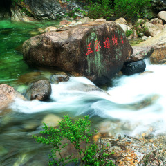 清新自然 景点模块