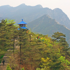 景点模块 