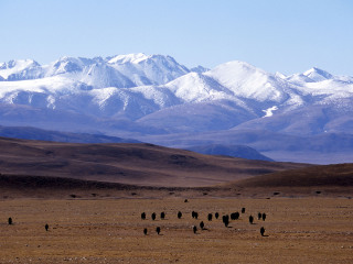 西藏納木錯(cuò)旅游跟團(tuán)多少錢_西藏納木錯(cuò)自由行旅游團(tuán)_西藏納木錯(cuò)2人旅游需要多少錢