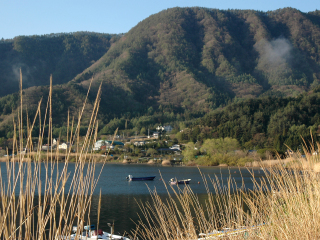 日本大阪旅游要多少錢2021_東莞到日本大阪游_組團去日本大阪