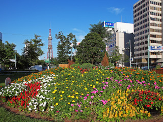 从深圳到日本北海道旅游_日本北海道六日旅游_日本北海道11日游价格