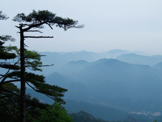 2021去婺源庐山旅游团报价_婺源庐山旅游团报价自由行_深圳到婺源庐山旅游报价