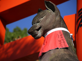 日本東京旅游一次多少錢_日本東京游 旅行團(tuán)_去日本東京旅游